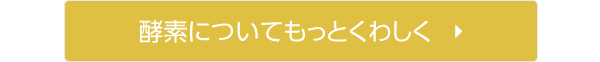 酵素についてもっとくわしく