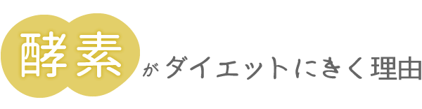 酵素がダイエットにきく理由