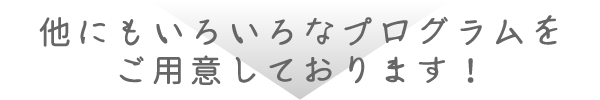 他にもいろいろなプログラムをご用意しております！